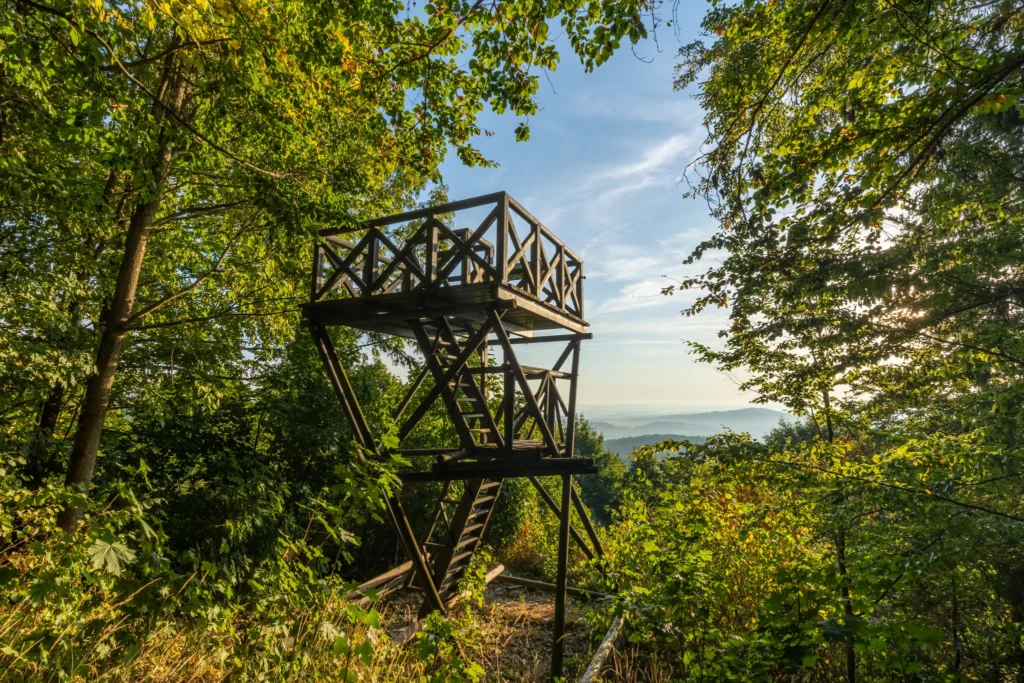 Aplikace EPU míří na Krumlovsko: pomáhá rozprostřít turisty z nejvíce přetížených lokalit do okolí